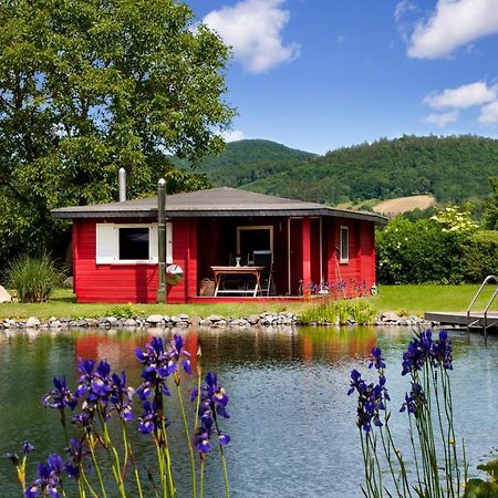 Romantic Wooden Lodge,Sauna,Schwimmteich,Alleinstehend,Absolut Ruhig Hessisch Oldendorf Esterno foto